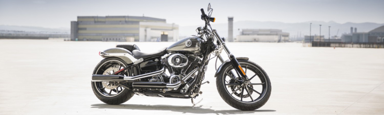 2021 Harley-Davidson&reg; for sale in Crystal Harley-Davidson®, Homosassa, Florida
